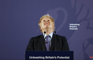 Heir to outgoing PM: 'Johnson operated as a brilliant...