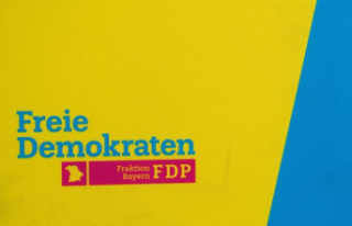 Traffic light coalition: FDP insists on sanctions...