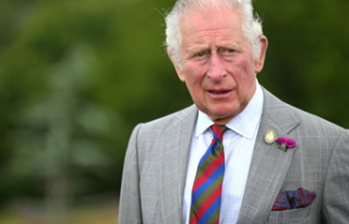 Royals: Million by bin Ladens: Prince Charles in the...