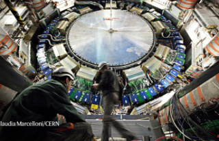 Particle Physics is not going away, even if there...