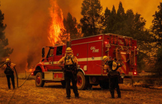 Heatwave: "Explosive" forest fire rages...