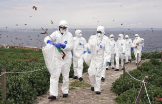 Thousands of animals have already died: bird flu is...