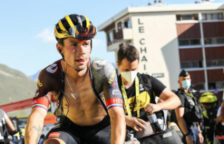 Bitter tour end for Roglic: The "killer wasps"...