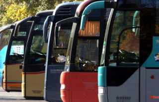 9-euro ticket more attractive: Private bus companies...