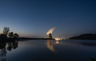 Energy crisis: Greenpeace on the nuclear debate: Reactors...