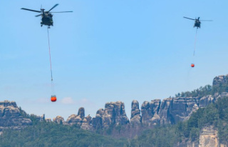 Saxony: No relaxation in forest fires in Saxon Switzerland