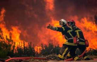 Forest fires are increasing: Southern Europe is groaning...