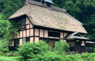 Architecture: Japanese discover their old country...