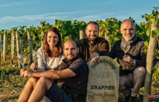 The seven families of champagne (5/7): the tales of...