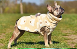 Wet fur?: That's why a dog bathrobe can be useful...