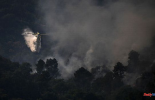 Climate: towards a record year for fires in Europe?