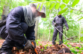 Police comb forest more than two decades after Hilal...