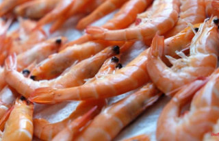 Interpreting labels: How to buy sustainable shrimp