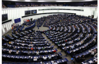 Company. MEPs would like to include abortion in the...