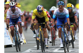 Tour de France. Groenewegen wins 3rd stage of sprint,...