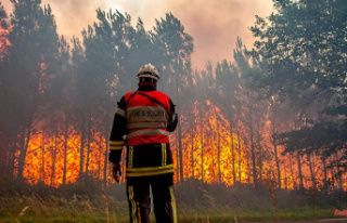 Forest fires in south-west Europe: the fire brigade...