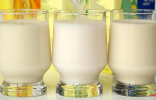 Checking milk alternatives: how good are oat drink...