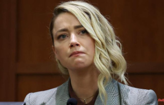 Petition for annulment: Did Amber Heard miss an important...