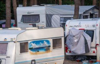 Mecklenburg-Western Pomerania: Camping industry satisfied...