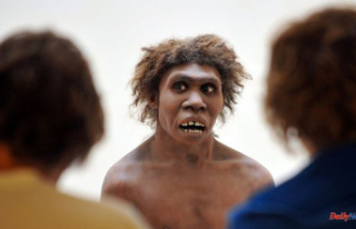 Hundreds of Neanderthal footprints found on Normandy...
