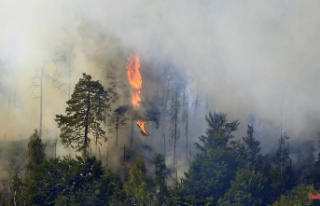 Fire encircles Rehfeld: 200 people evacuated due to...