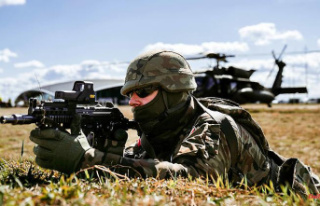 Defense budget rises to 3 percent: Poland's army...