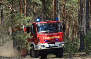 Rhein-Lahn-Kreis: Hard-to-reach forest fire keeps...