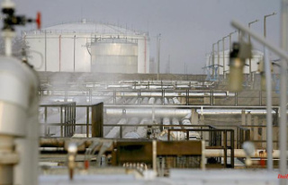 Russian oil despite embargo: Druzhba pipeline supplies...