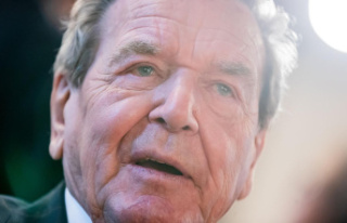 Arbitration Commission: Gerhard Schröder may remain...