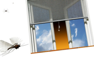 Without drilling: Insect protection for windows: This...
