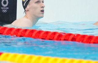 Questions and Answers: European Swimming Championships:...