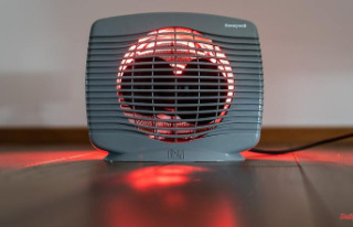 Cheap devices, expensive use: fan heaters are not...