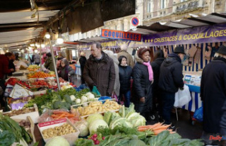 Marseille: producers accused of "francization"...