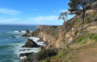 A road trip on Highway 1 in Northern California