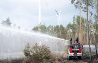 Saxony-Anhalt: forest fire near Jerichow: fire under...