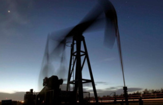 Funding association: Oil prices stable before OPEC...