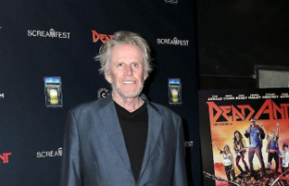 "I have no regrets": US actor Gary Busey...