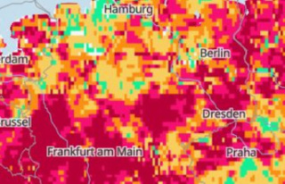 Sauerland: forest fire near Plettenberg – map shows...