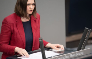 Elections: Rostock's Greens nominate Claudia...