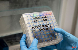 Monkey pox: should we fear an increase in deaths?