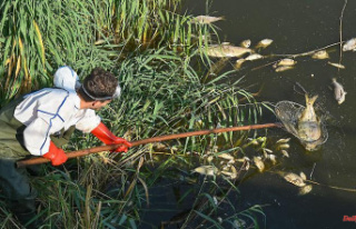 After fish die: Laboratory reports excessive pesticide...