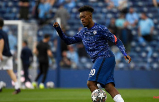 Hudson-Odoi should come: Bayer will probably get the...