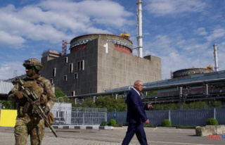 War in Ukraine: new strikes hit the Zaporizhia nuclear...