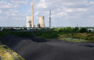 Energy crisis in Germany: The first coal-fired power...