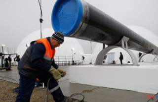 The cut of Russian gas to France in four questions