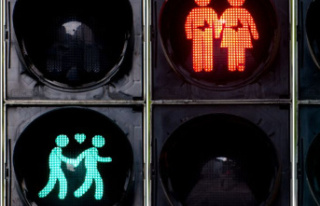 Court decision: homosexual traffic light couples can...