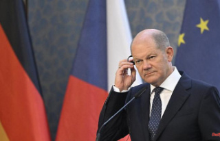 "Work very well together": Scholz ignores...
