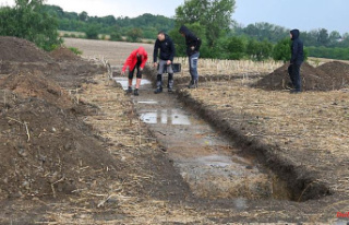 Saxony-Anhalt: Archaeologists find bones near Harzgerode...