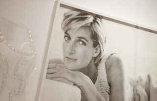 "Diana's Last Night": Who is to blame...