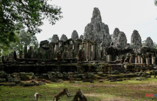 Cambodia: around Angkor, the fragile return of endangered...